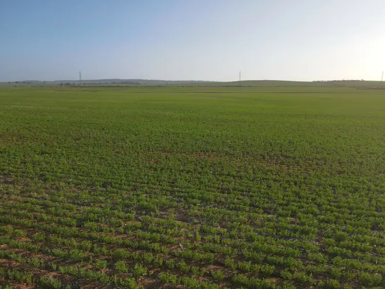 Fifth view of Homely rural property listing, 222 Nicholls Rd, Booleroo Centre SA 5482