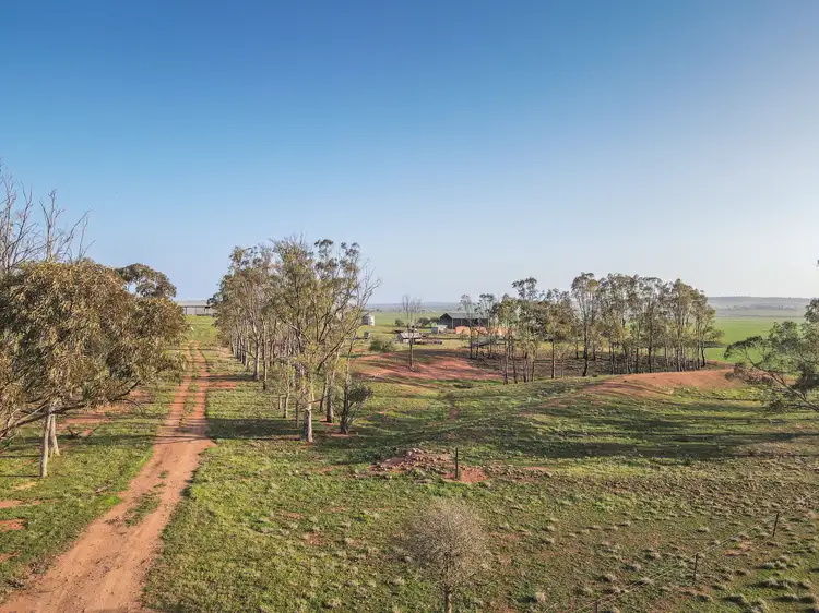 Sixth view of Homely rural property listing, 222 Nicholls Rd, Booleroo Centre SA 5482