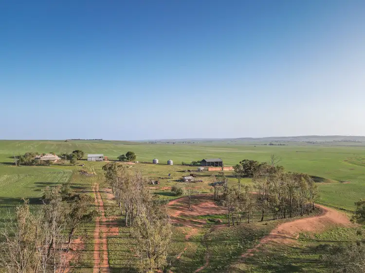 Seventh view of Homely rural property listing, 222 Nicholls Rd, Booleroo Centre SA 5482
