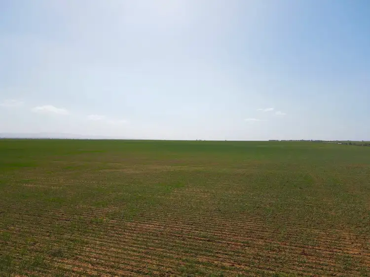 Second view of Homely rural property listing, 'Daly's' Collins Road, Willowie SA 5431
