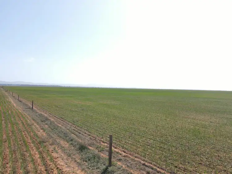 Sixth view of Homely rural property listing, 'Daly's' Collins Road, Willowie SA 5431