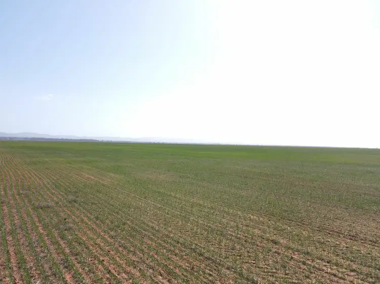Seventh view of Homely rural property listing, 'Daly's' Collins Road, Willowie SA 5431