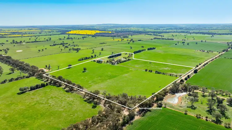 'Sunrise'/166 Wenkes Rd, Walla Walla NSW 2659