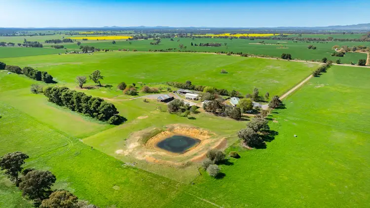 Fourth view of Homely rural property listing, 'Sunrise'/166 Wenkes Rd, Walla Walla NSW 2659