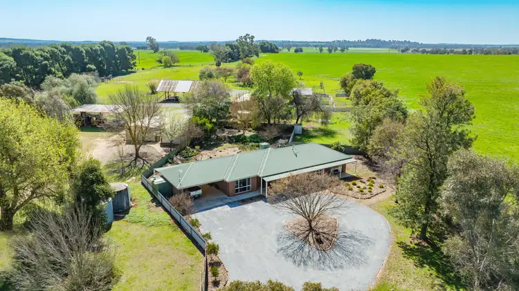 Fifth view of Homely rural property listing, 'Sunrise'/166 Wenkes Rd, Walla Walla NSW 2659