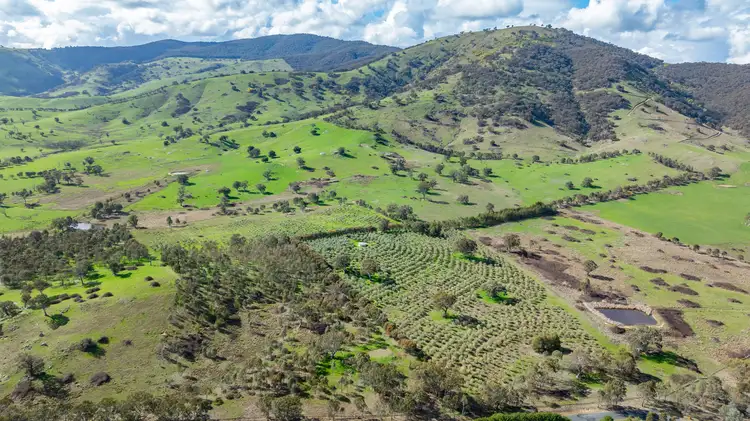 Fourth view of Homely rural property listing, 'Dalkeith'/2159 Wymah Rd, Wymah NSW 2640