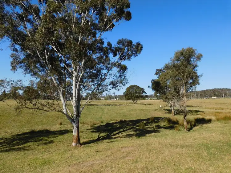 Third view of Homely rural property listing, 243 Mount Darragh Rd, South Pambula NSW 2549