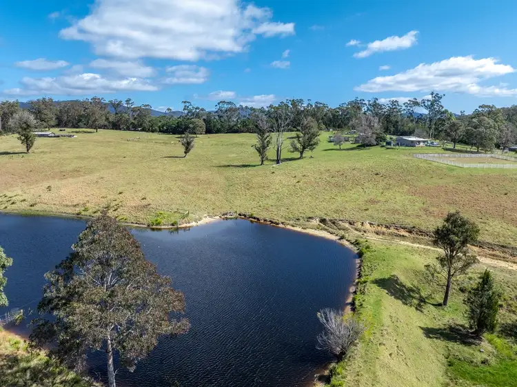 Fifth view of Homely rural property listing, 243 Mount Darragh Rd, South Pambula NSW 2549