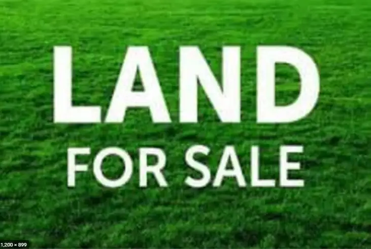LOT 1718, 8911 New England Highway, Muswellbrook NSW 2333
