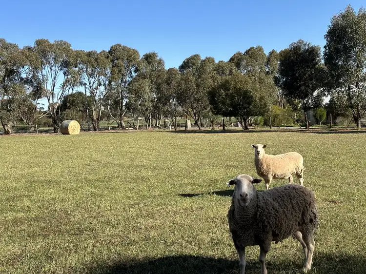 Third view of Homely land listing, Lot 229 Graham St, Burra SA 5417