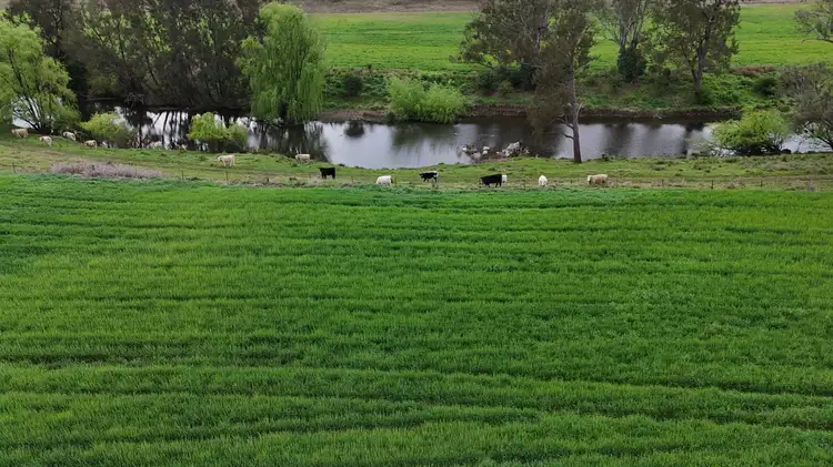 Second view of Homely rural property listing, 213 Mclachlans Lane Brodies Plains, Inverell NSW 2360