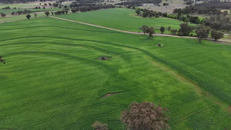 Fourth view of Homely rural property listing, 213 Mclachlans Lane Brodies Plains, Inverell NSW 2360