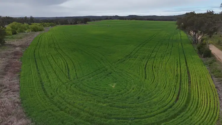 Fifth view of Homely rural property listing, 213 Mclachlans Lane Brodies Plains, Inverell NSW 2360