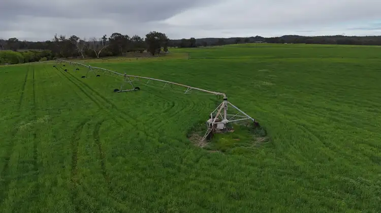 Sixth view of Homely rural property listing, 213 Mclachlans Lane Brodies Plains, Inverell NSW 2360