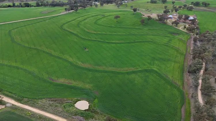 Seventh view of Homely rural property listing, 213 Mclachlans Lane Brodies Plains, Inverell NSW 2360