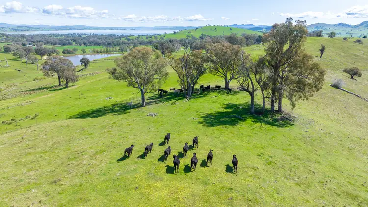 Third view of Homely rural property listing, 'Part Tarragatta' Vincents Road, Talgarno VIC 3691