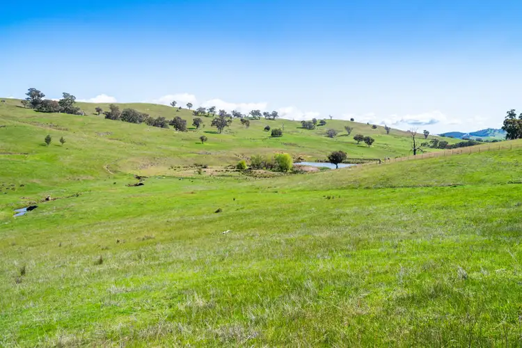 Fourth view of Homely rural property listing, 'Part Tarragatta' Vincents Road, Talgarno VIC 3691