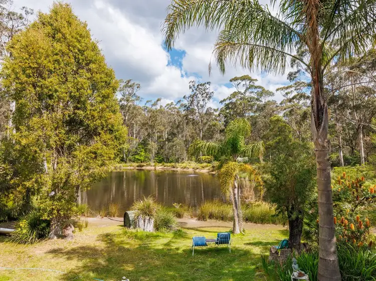 Fourth view of Homely rural property listing, 1932 Mount Darragh Rd, Wyndham NSW 2550