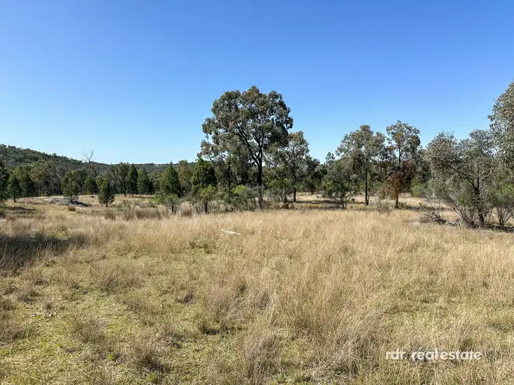 Second view of Homely rural property listing, 547 Wearnes Road, Bundarra NSW 2359