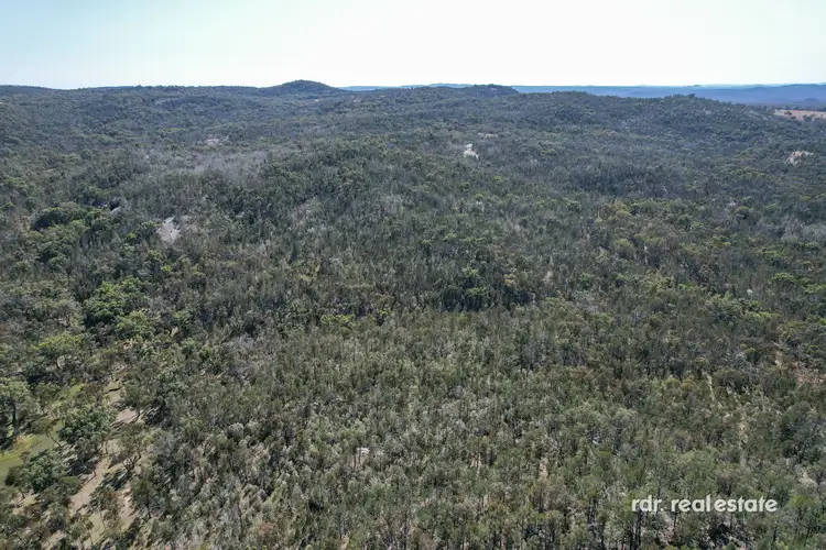 Fifth view of Homely rural property listing, 547 Wearnes Road, Bundarra NSW 2359