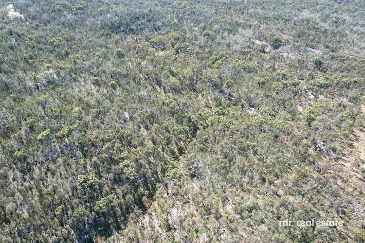 Seventh view of Homely rural property listing, 547 Wearnes Road, Bundarra NSW 2359