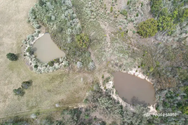 Third view of Homely rural property listing, 164 Yammacoona Estate Rd, Delungra, Inverell NSW 2360