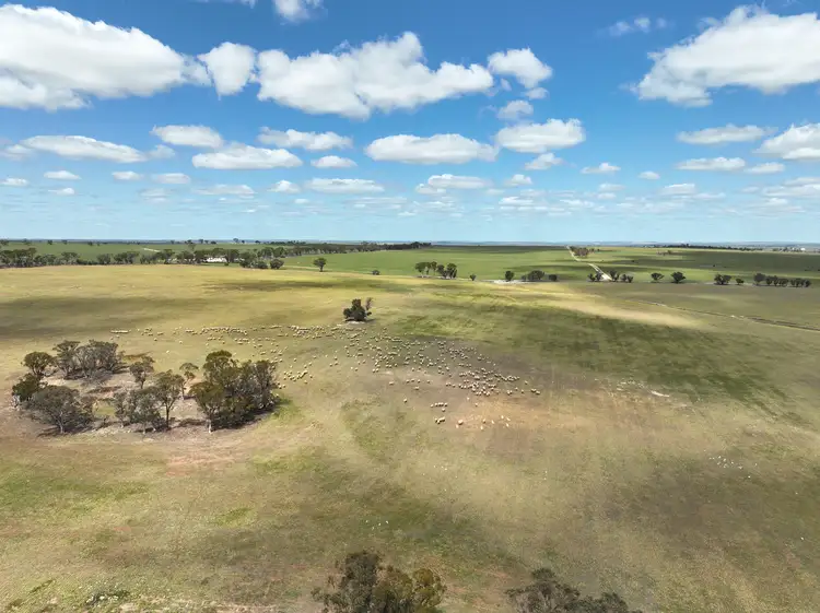 Fourth view of Homely rural property listing, Multi Lot Kellerberrin-Shackleton Rd, Kellerberrin WA 6410