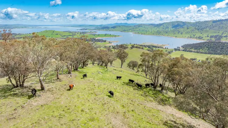 Second view of Homely rural property listing, 'House' &/'Bert's Corner' 106 Wises Creek Road, Talgarno VIC 3691