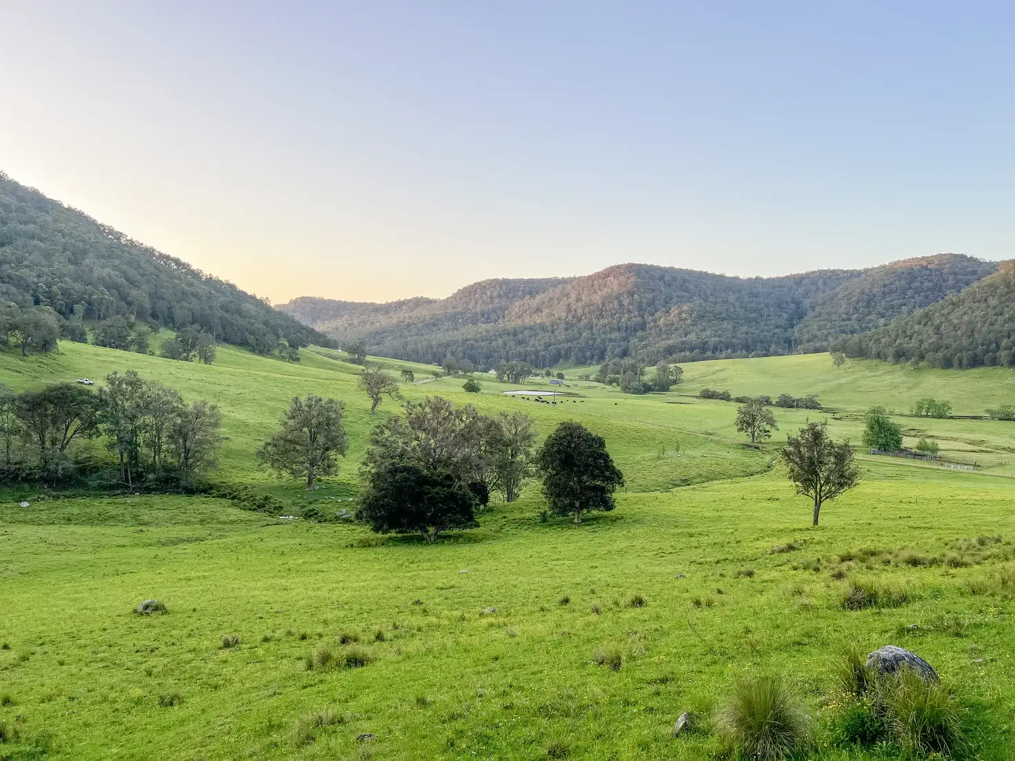 Main view of Homely rural property listing, Lot 2 Watagan Creek Road, Laguna NSW 2325