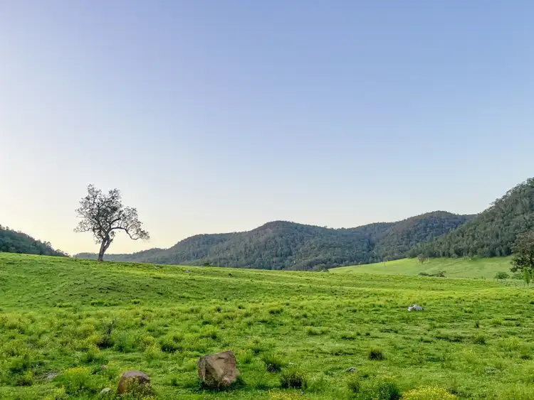 Fourth view of Homely rural property listing, Lot 2 Watagan Creek Road, Laguna NSW 2325