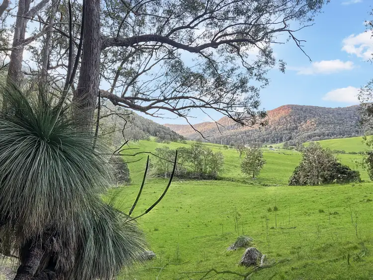 Fifth view of Homely rural property listing, Lot 2 Watagan Creek Road, Laguna NSW 2325