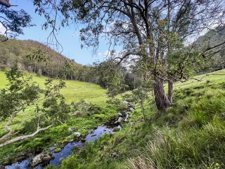 Sixth view of Homely rural property listing, Lot 2 Watagan Creek Road, Laguna NSW 2325