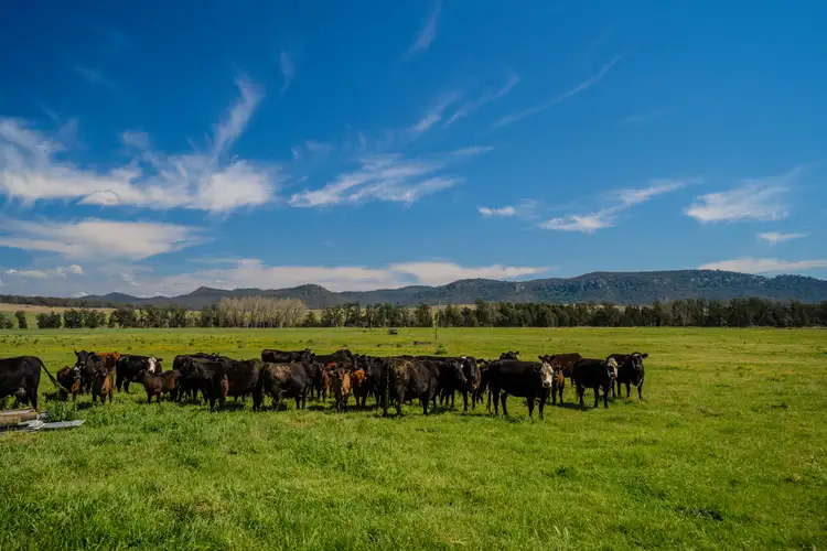 931 Martindale Road, Denman NSW 2328