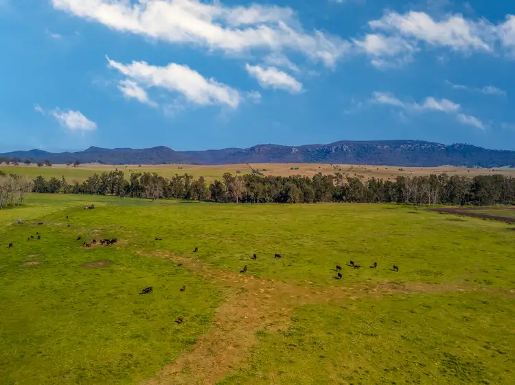 Second view of Homely rural property listing, 931 Martindale Road, Denman NSW 2328