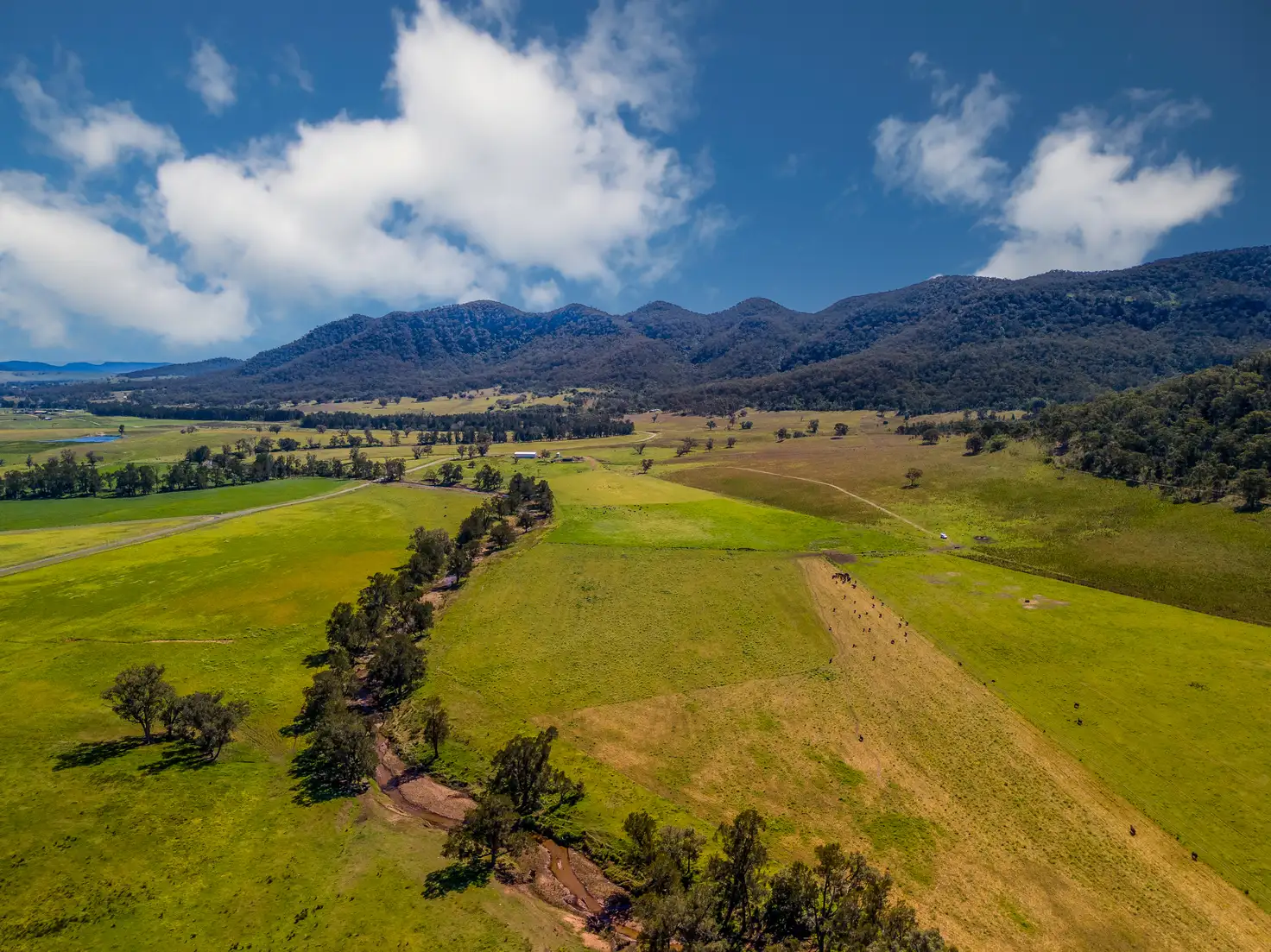 Main view of Homely rural property listing, 1692 Martindale Road, Denman NSW 2328