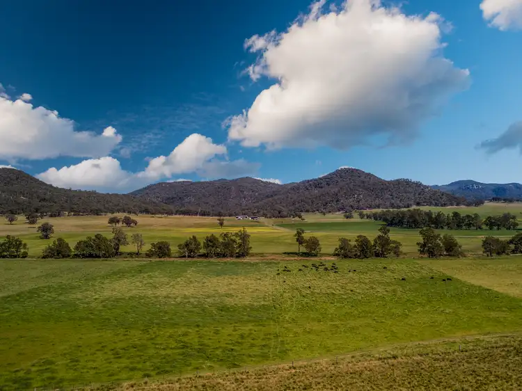 Fourth view of Homely rural property listing, 1692 Martindale Road, Denman NSW 2328