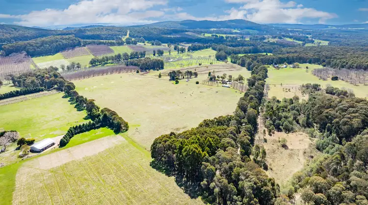 Third view of Homely rural property listing, 124 Circular Creek Rd, Stanley VIC 3747