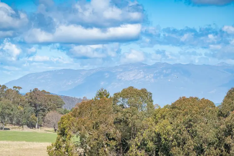 Fourth view of Homely rural property listing, 124 Circular Creek Rd, Stanley VIC 3747