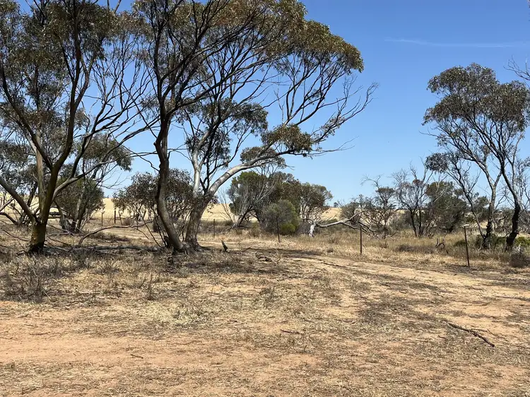 Main view of Homely rural property listing, Lot 20248 & 26548 Doherty Road, South Kununoppin WA 6489