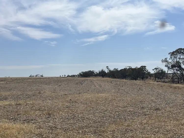 Fourth view of Homely rural property listing, Lot 20248 & 26548 Doherty Road, South Kununoppin WA 6489