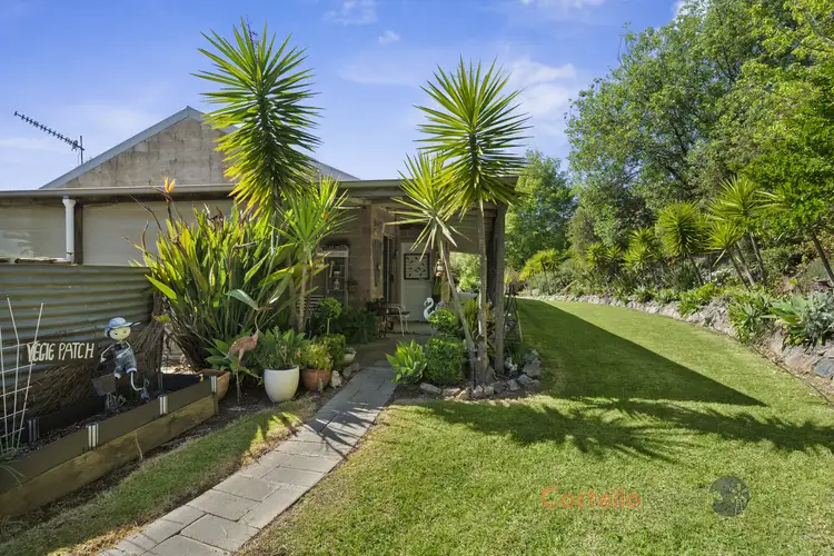 Fourth view of Homely house listing, 9812 Murray River Rd, Pine Mountain VIC 3709