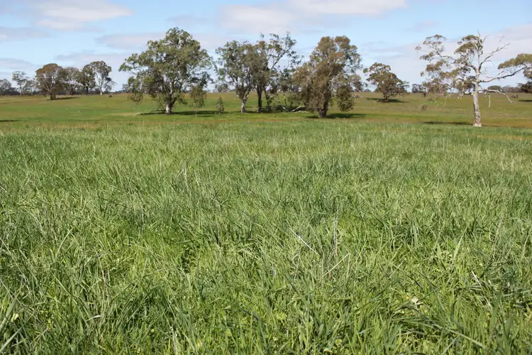 Main view of Homely rural property listing, Lot/11 Casterton Apsley Road, Apsley VIC 3319