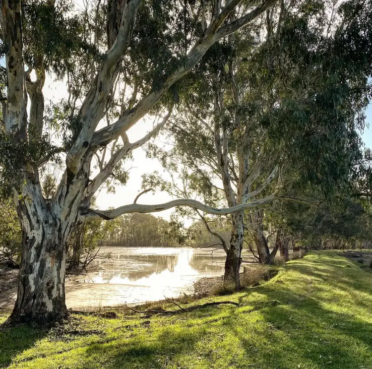 Third view of Homely rural property listing, Lot/11 Casterton Apsley Road, Apsley VIC 3319