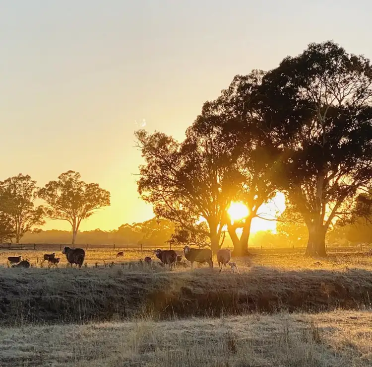Fifth view of Homely rural property listing, Lot/11 Casterton Apsley Road, Apsley VIC 3319