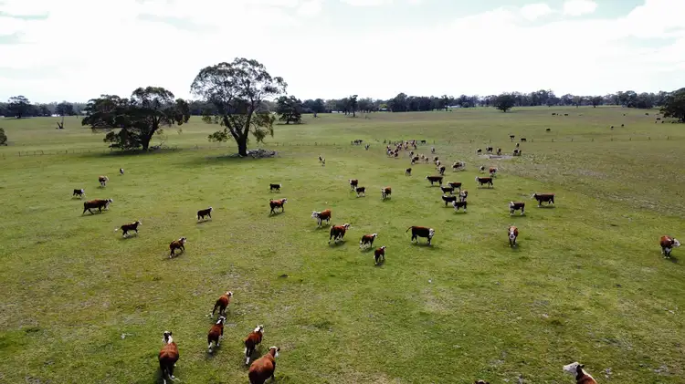 Sixth view of Homely rural property listing, Lot/11 Casterton Apsley Road, Apsley VIC 3319