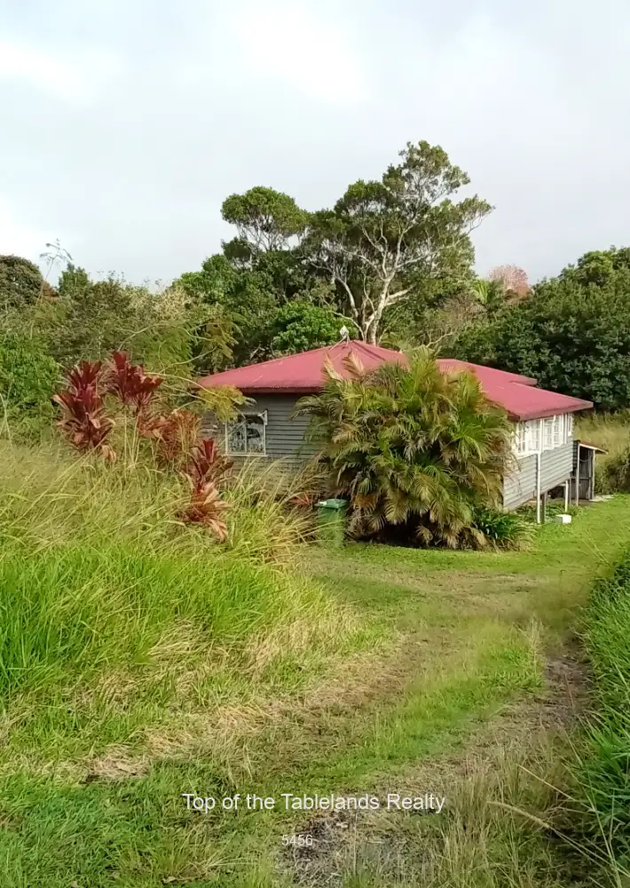 Main view of Homely house listing, 5440 Palmerston Hwy, Millaa Millaa QLD 4886