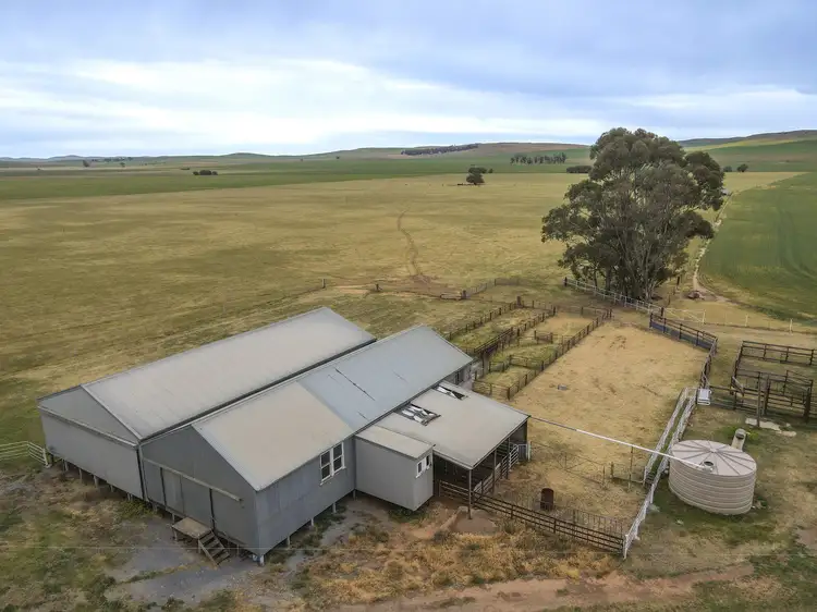 Seventh view of Homely rural property listing, 'Lucerne Park' Booborowie Rd, Booborowie SA 5417