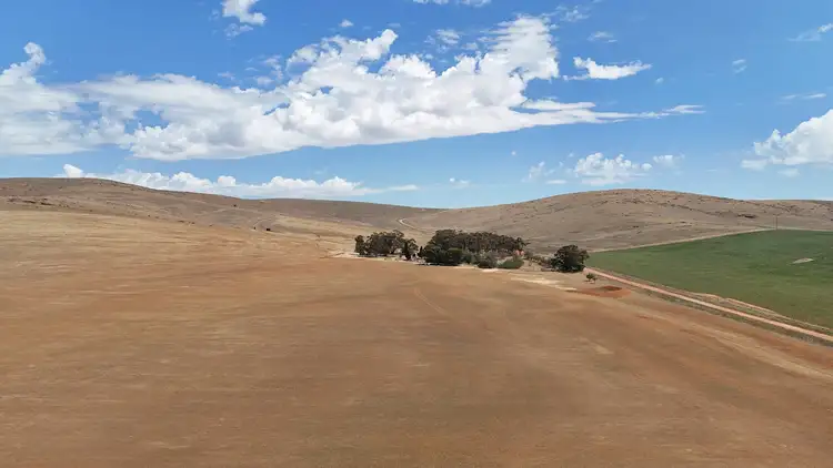 Fourth view of Homely rural property listing, 624 Case Rd, Bundaleer North SA 5491