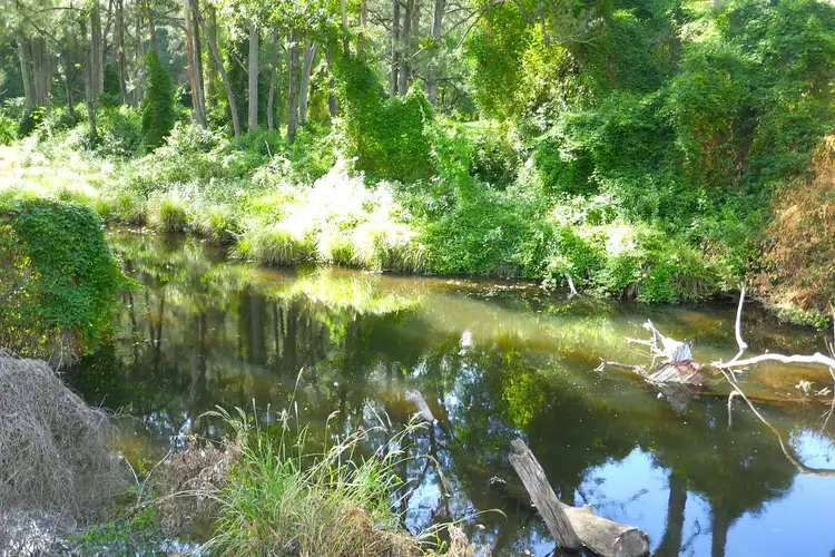 Third view of Homely rural property listing, Lot 14 Tree Fern Road - Loadstone, Kyogle NSW 2474