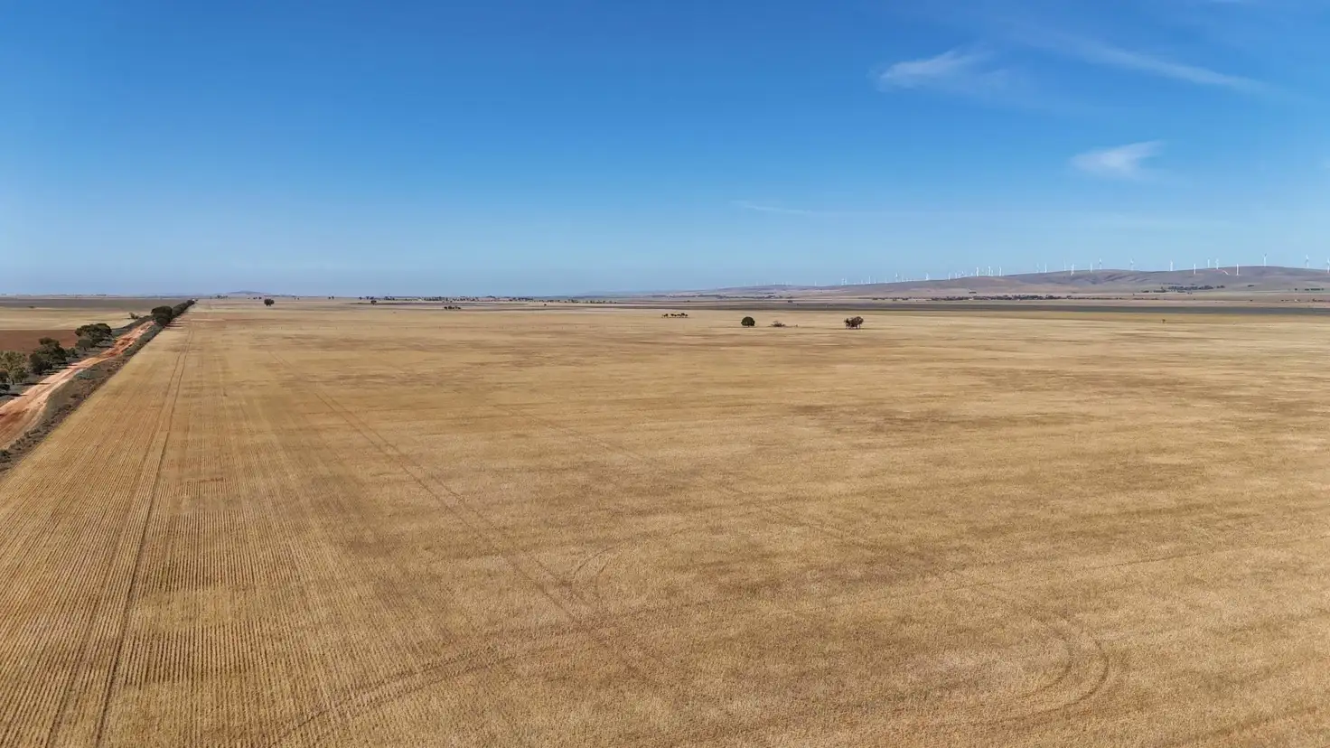 Main view of Homely rural property listing, Section 31 Collinsfield Road, Koolunga SA 5464